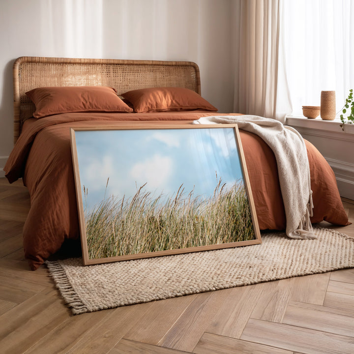 Beach Grass - Port Fairy