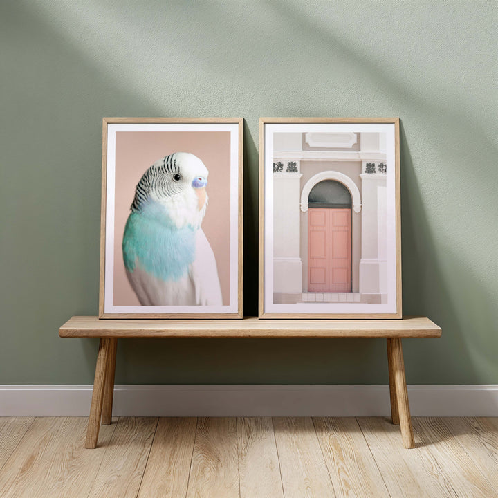 Set of 2 - Parakeet & Peach Door - Carrington