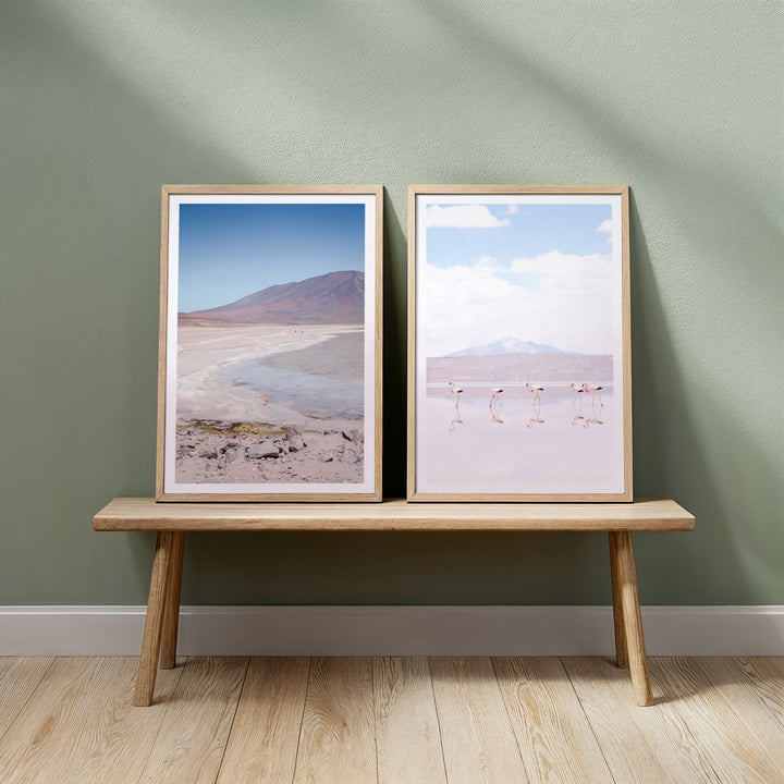 Set of 2 - Flamingos & Laguna