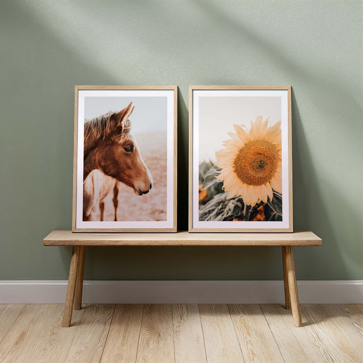 Set of 2 - Brown Mare & Sunflowers