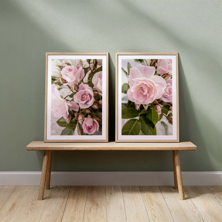 Set of 2 - Rose Garden I + Rose Garden II