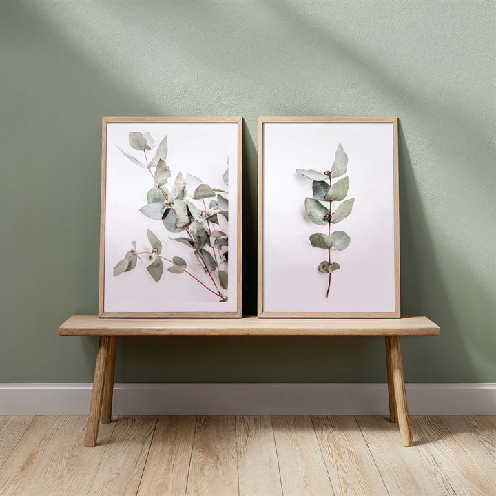 Set of 2 - Eucalyptus Leaves no.1 & no.2