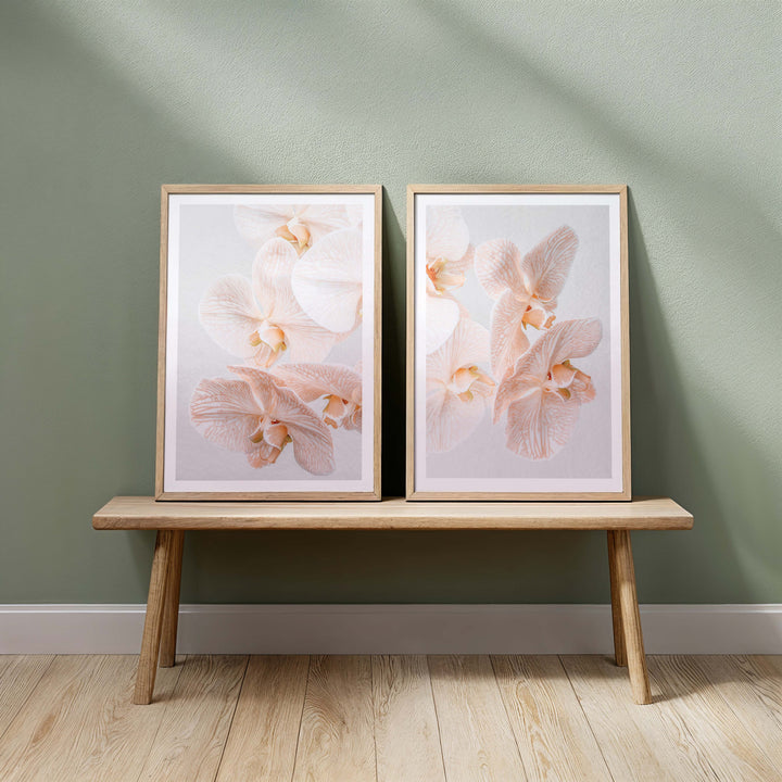 Set of 2 - Orchids III & Orchids IV