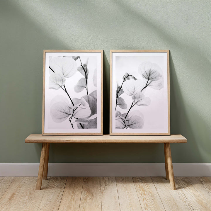 Dried Eucalyptus II - B&W