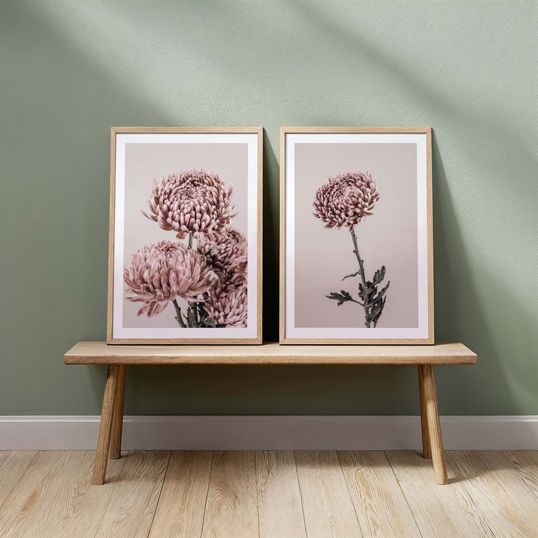 Vintage Chrysanthemums II