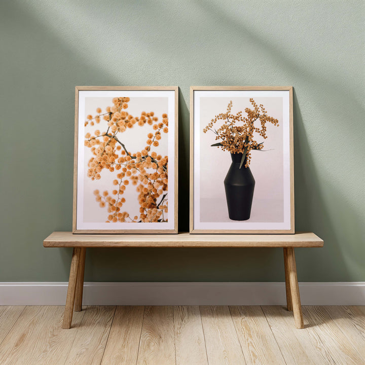 Set of 2 -Wattle on Pink I & II