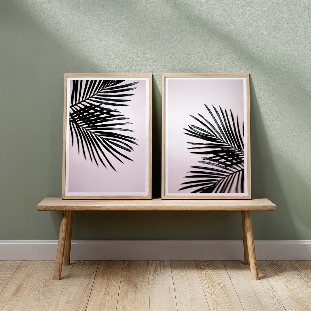 Sago Palm I