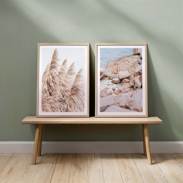 Set of 2 - Pampas Grass no.3 & Nelson Bay no.2