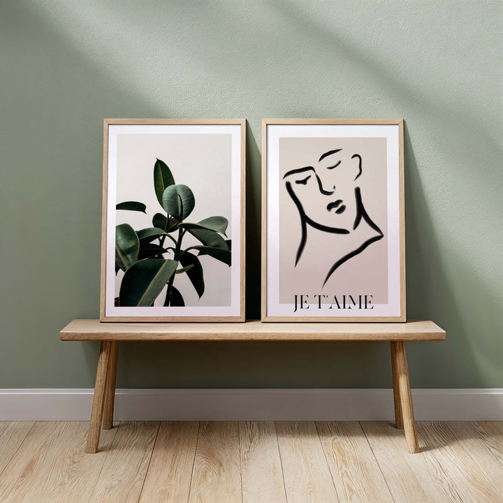 Set of 2 - Rubber Plant & Je T'aime no.2