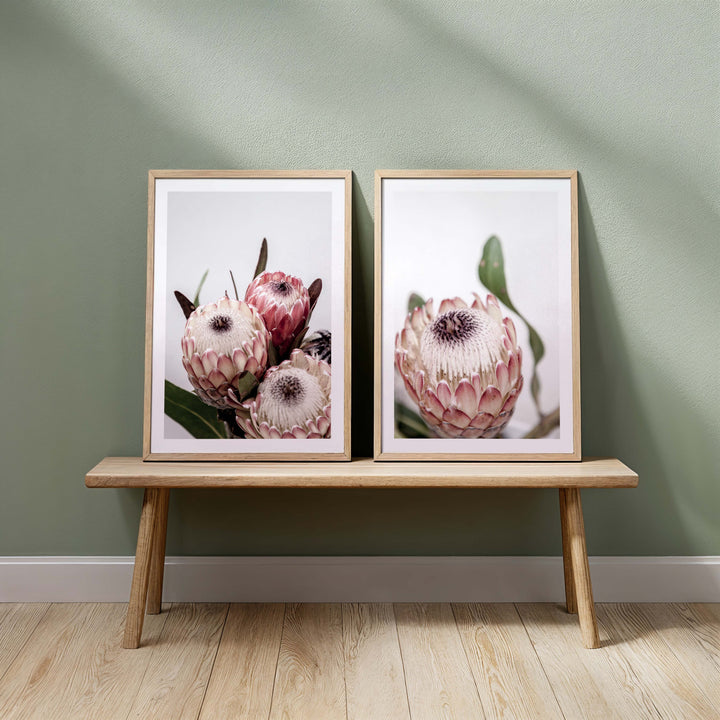 Set of 2 - Protea I + Protea II