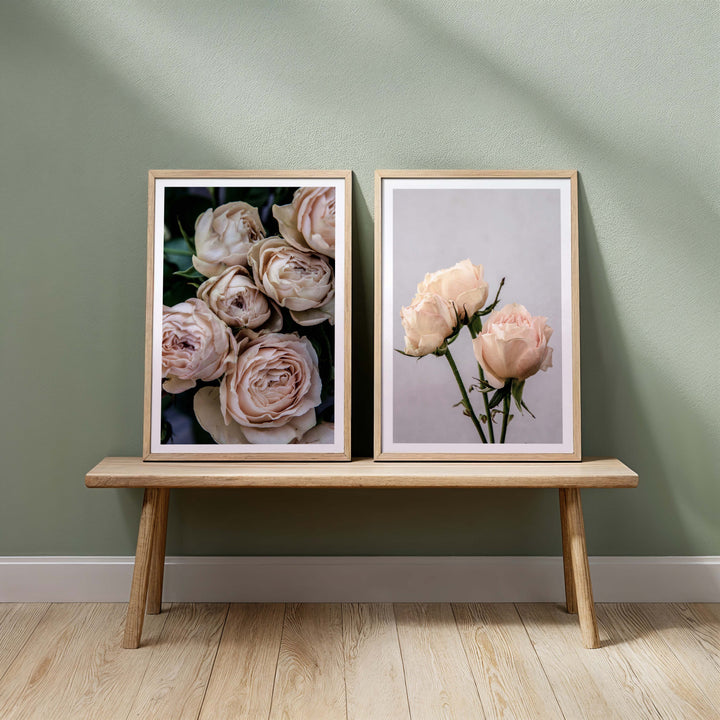 Set of 2 - Vintage Rose I + Vintage Rose II