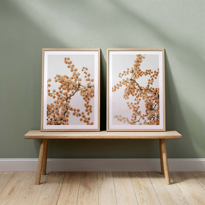 Set of 2 -Wattle IV & V