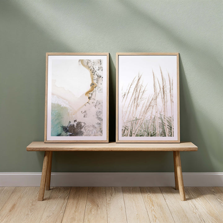 Set of 2 - Birds Eye View no.1 & Pampas Grass II