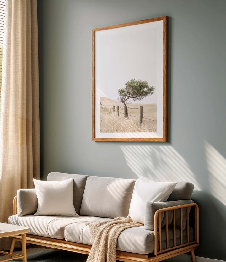 Fence - Country Victoria