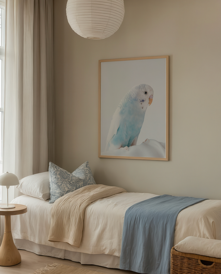 Blue Budgie