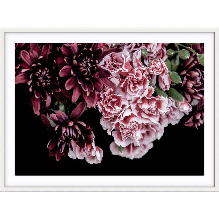 Carnations II