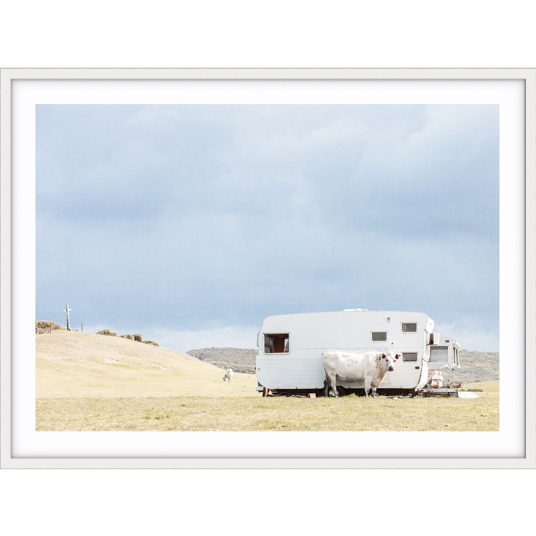 Cow & Caravan - Country Victoria