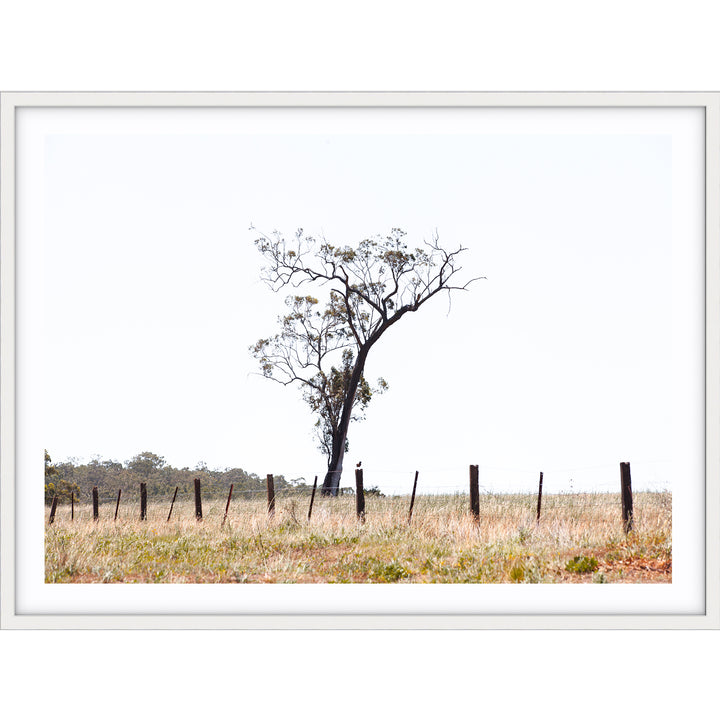Outback no.2 - The Hunter Valley