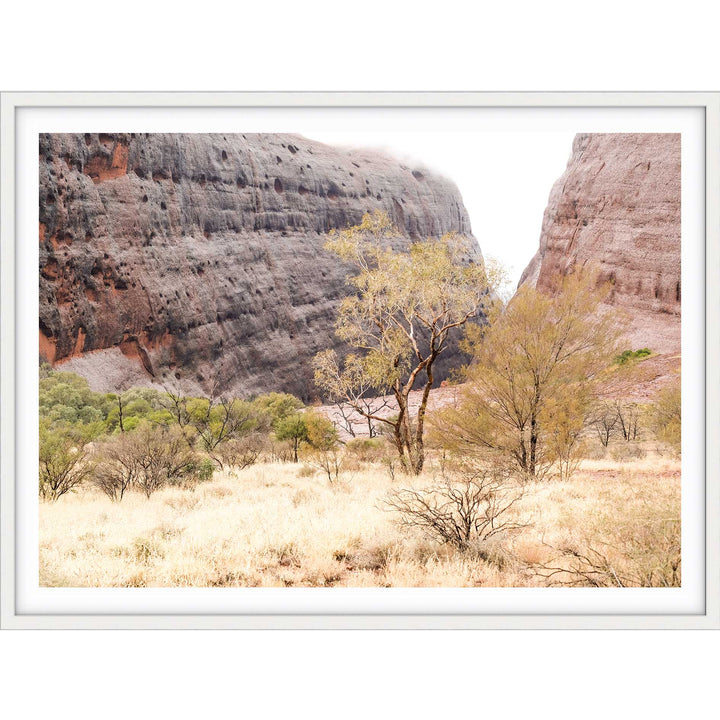 Walpa Gorge Uluru I