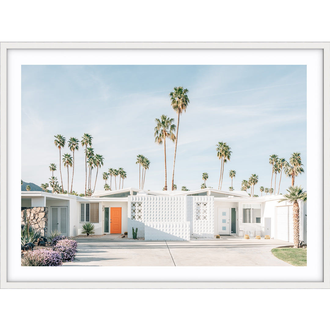 Palm Springs no.1