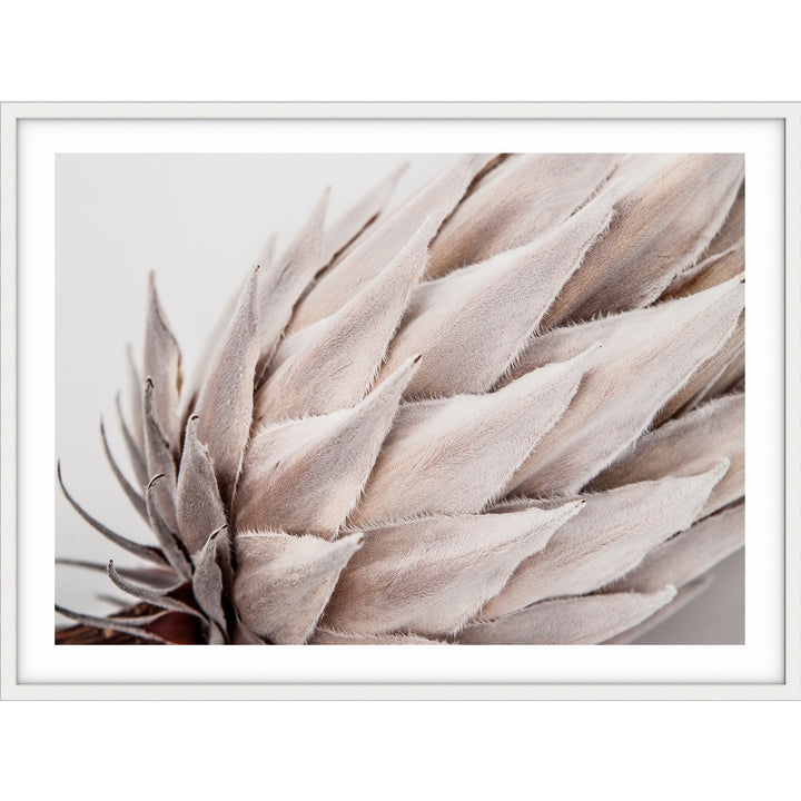 Ageing Gracefully III