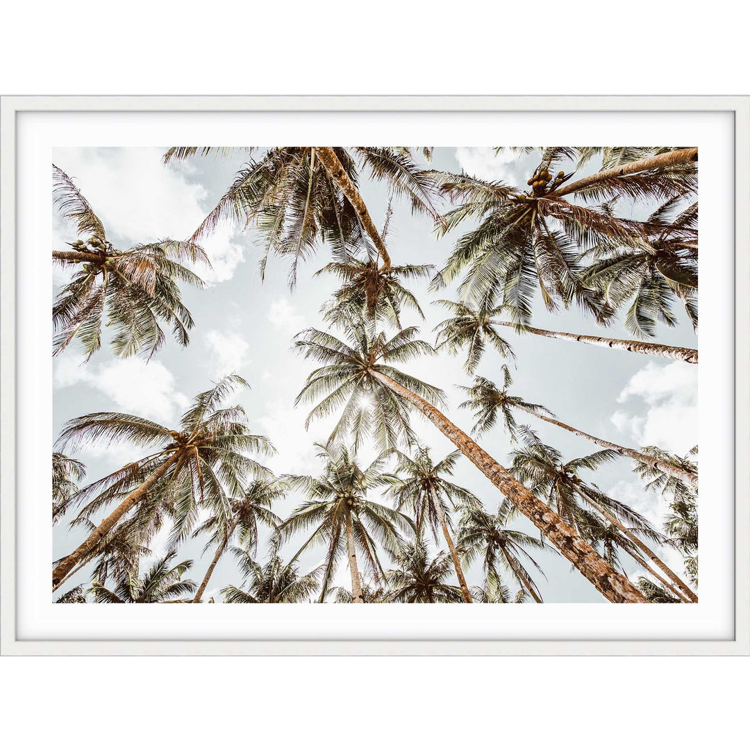 Palms For Days - Hawaii