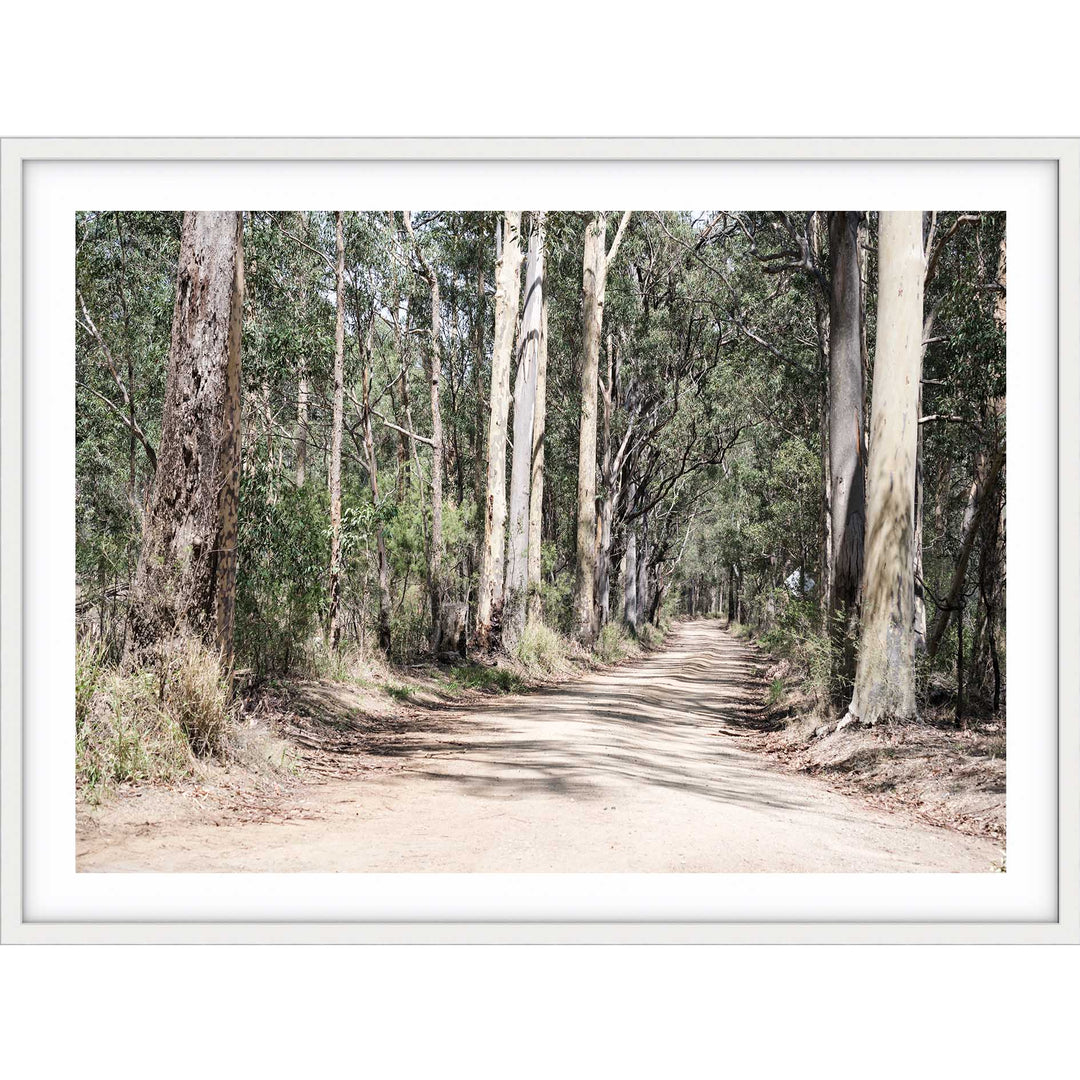 Gumtrees LS - The Hunter Valley