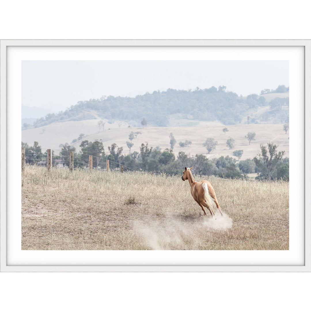 Ishani - The Hunter Valley
