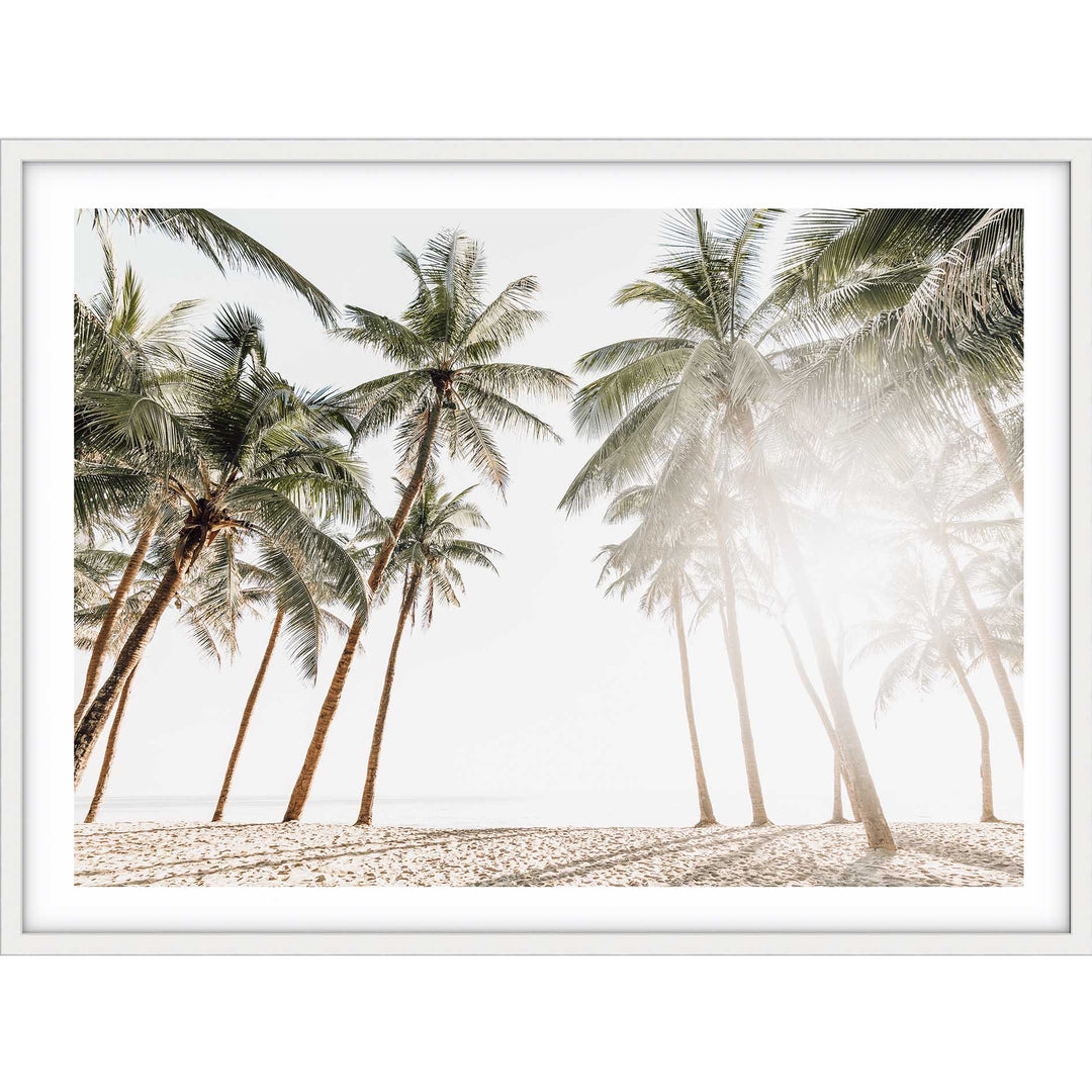 Maldive Palms I