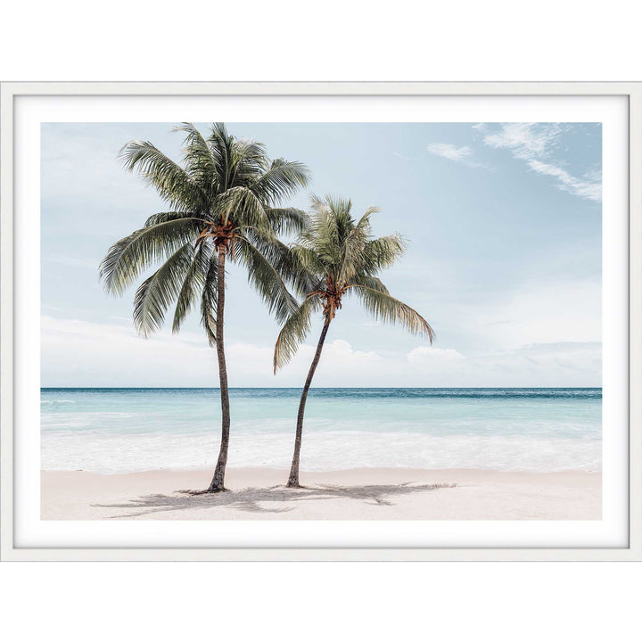 Maldive Palms III