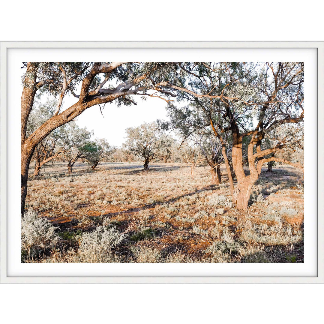 The Darling River Banks II