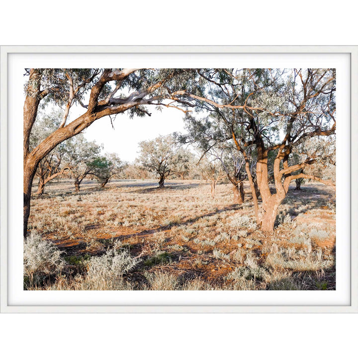 The Darling River Banks II