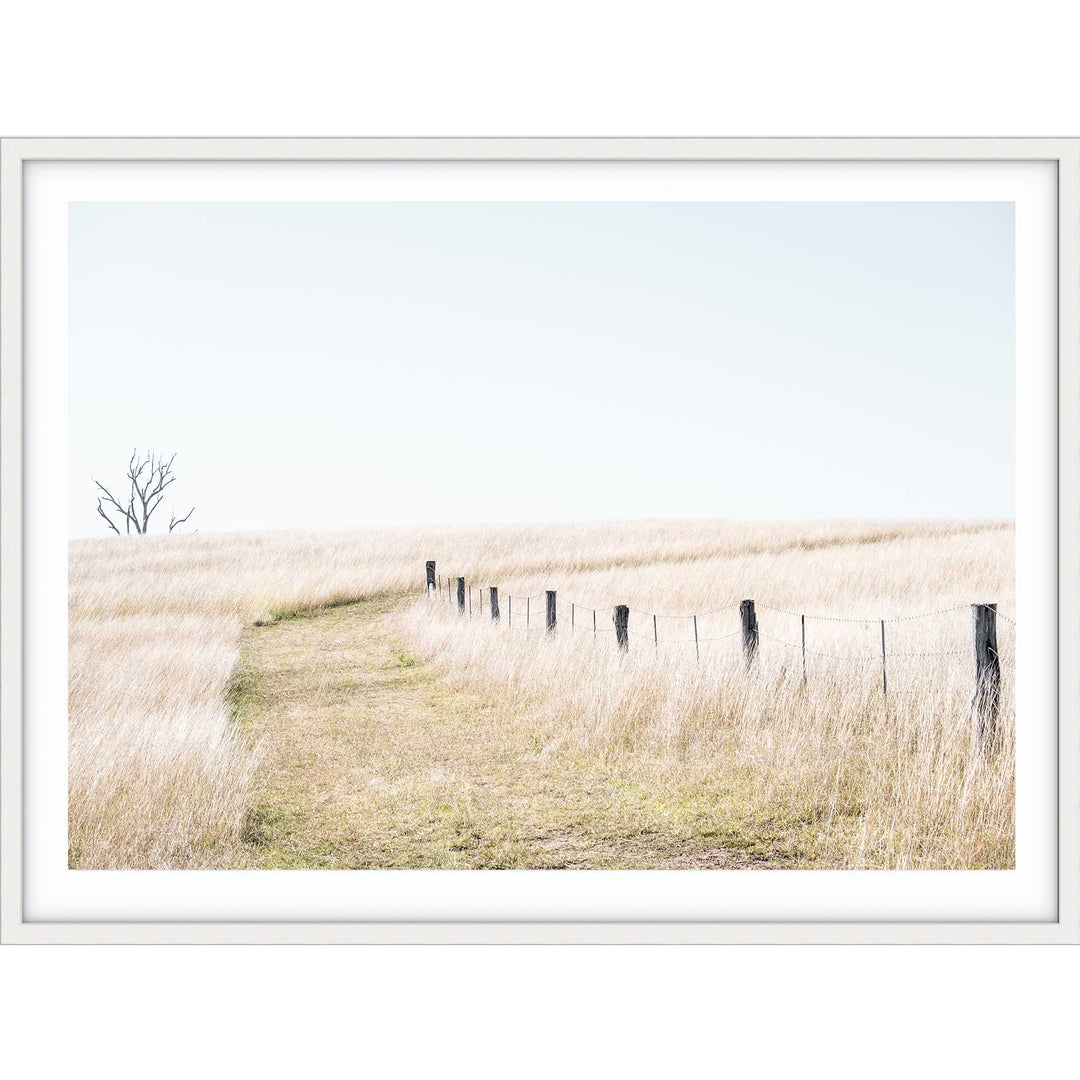 Pop's Paddock - Country NSW