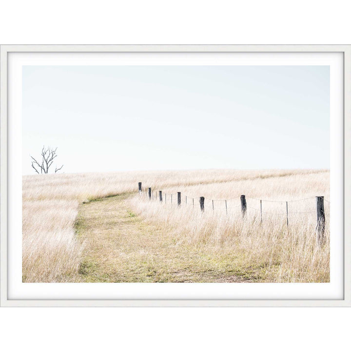 Pop's Paddock - Country NSW