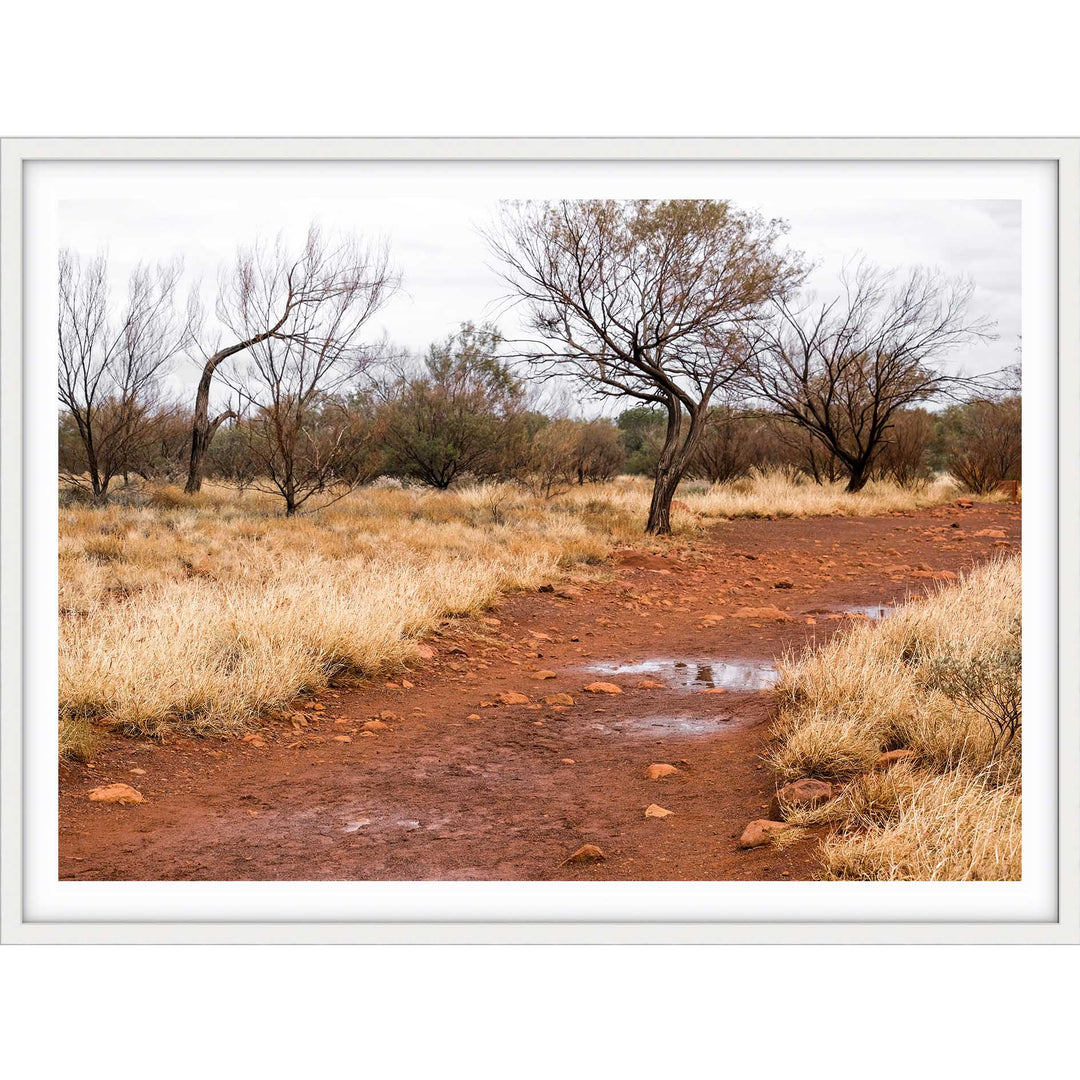 Red Track Uluru