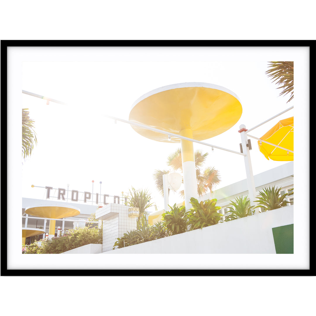 Tropicola no.1