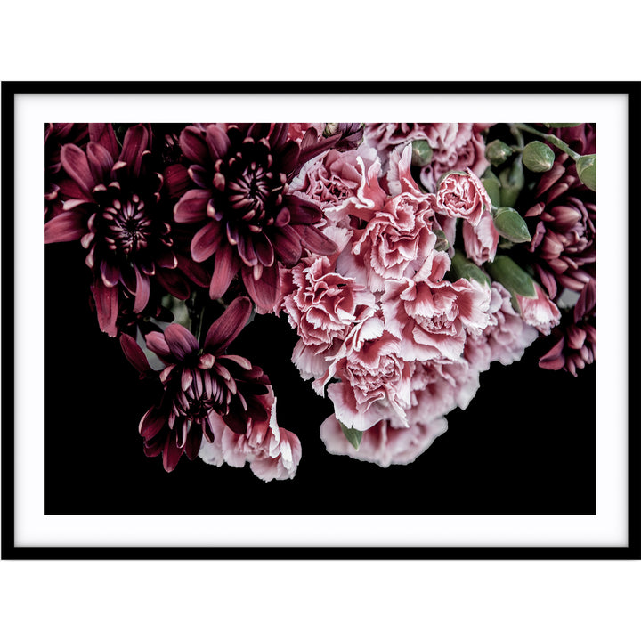 Carnations II