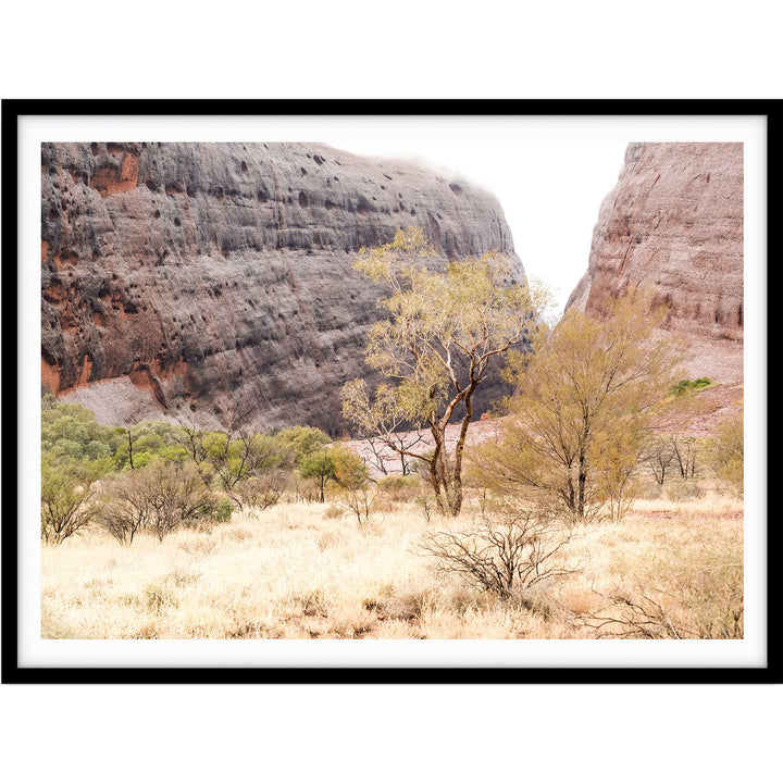 Walpa Gorge Uluru I