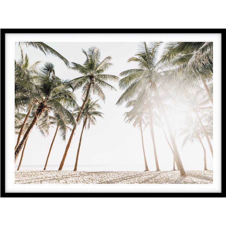 Maldive Palms I