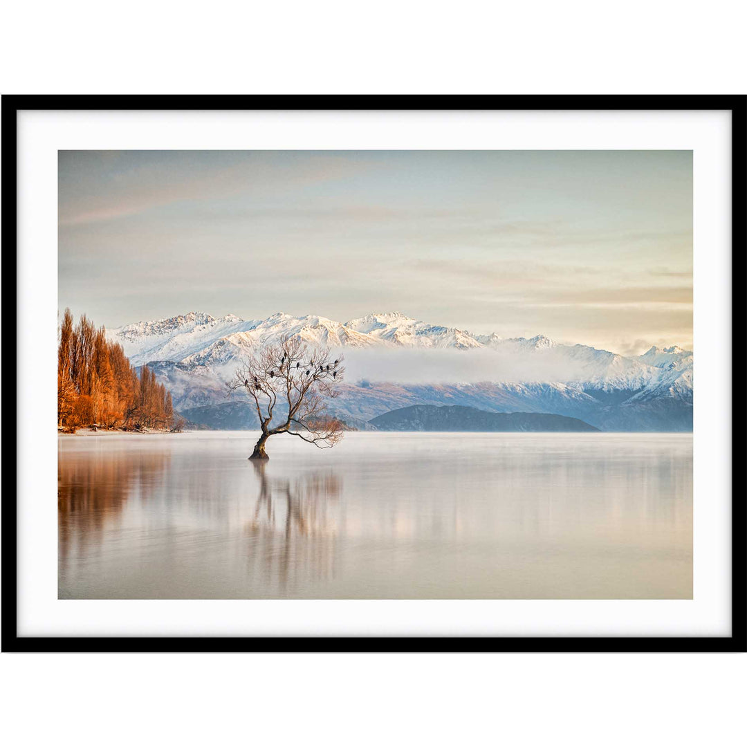 Lake Wanaka Otago - New Zealand