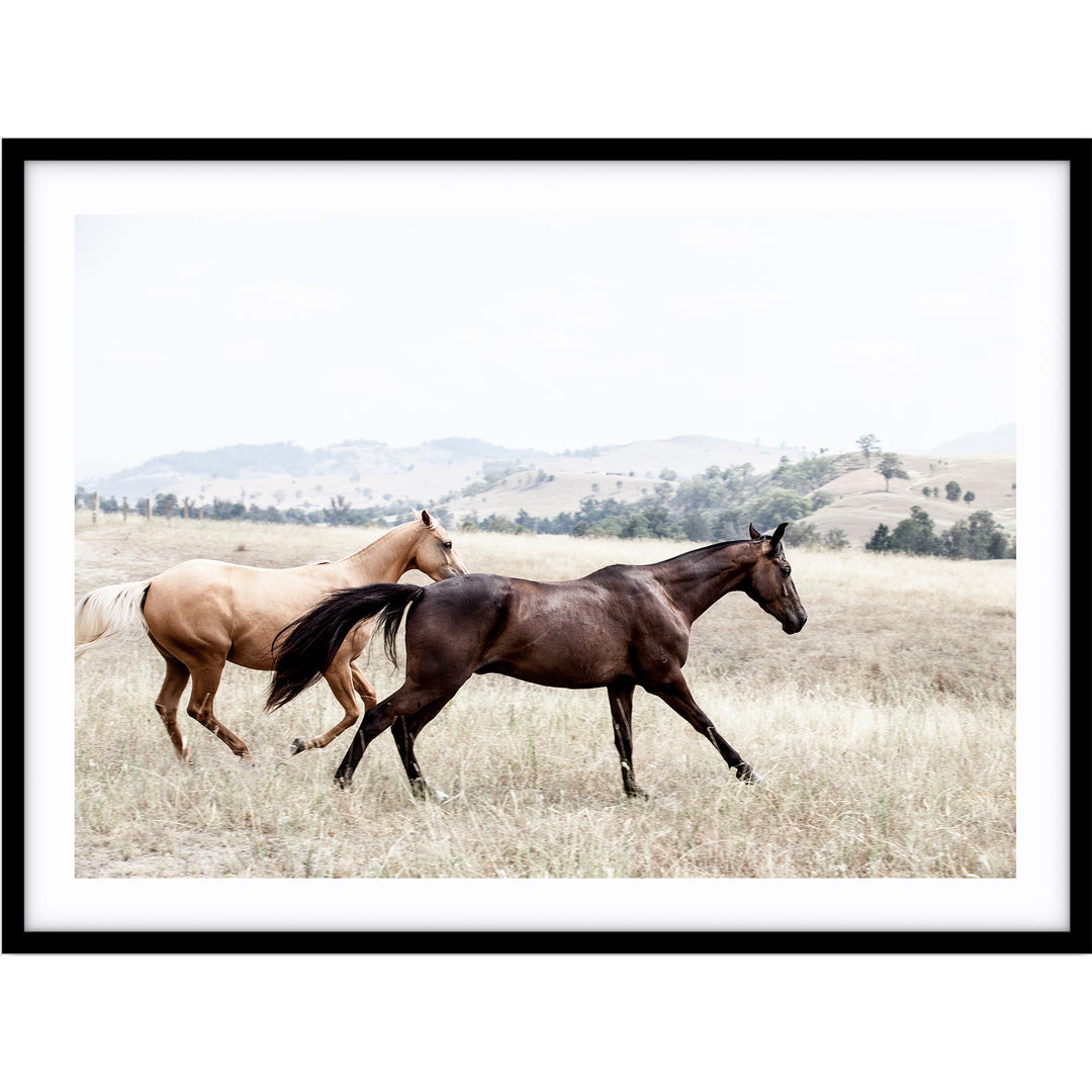 Ishani & Aussie no.1 - The Hunter Valley