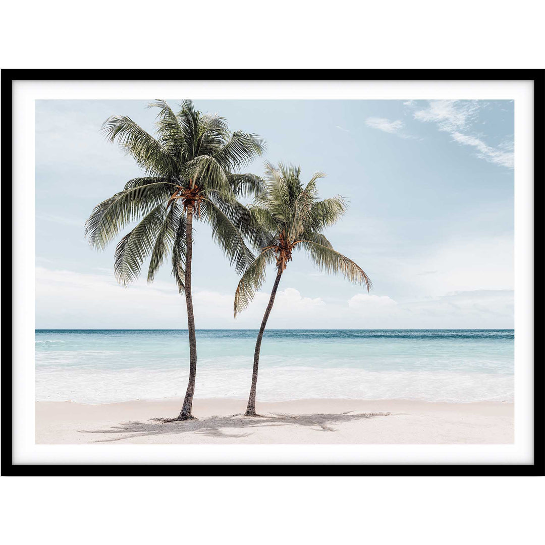 Maldive Palms III