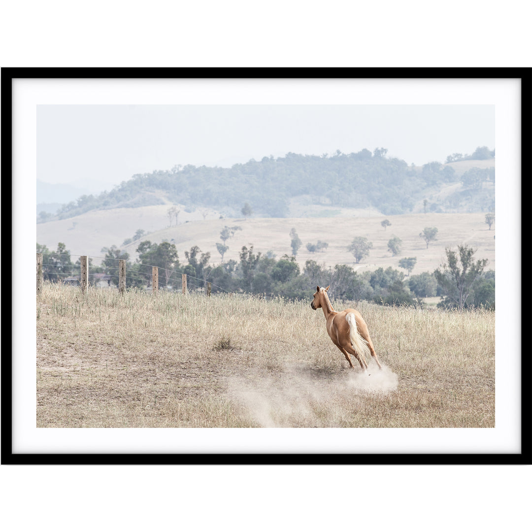 Ishani - The Hunter Valley