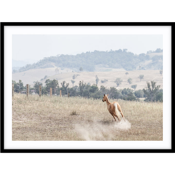 Ishani - The Hunter Valley