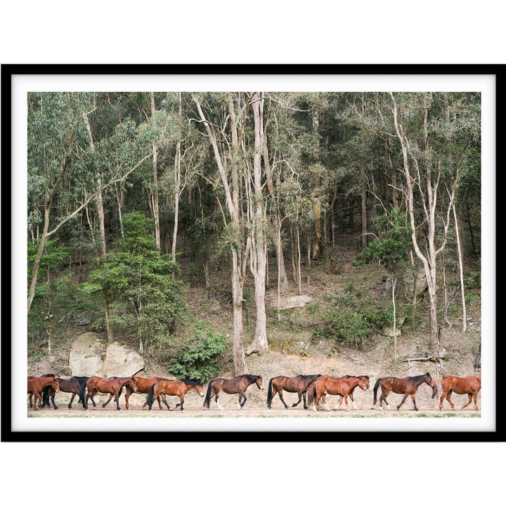 Glenworth Valley III