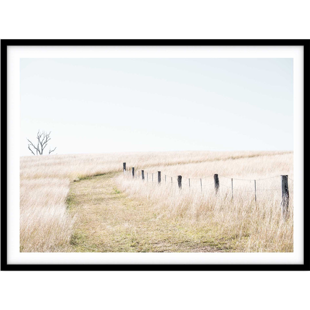 Pop's Paddock - Country NSW