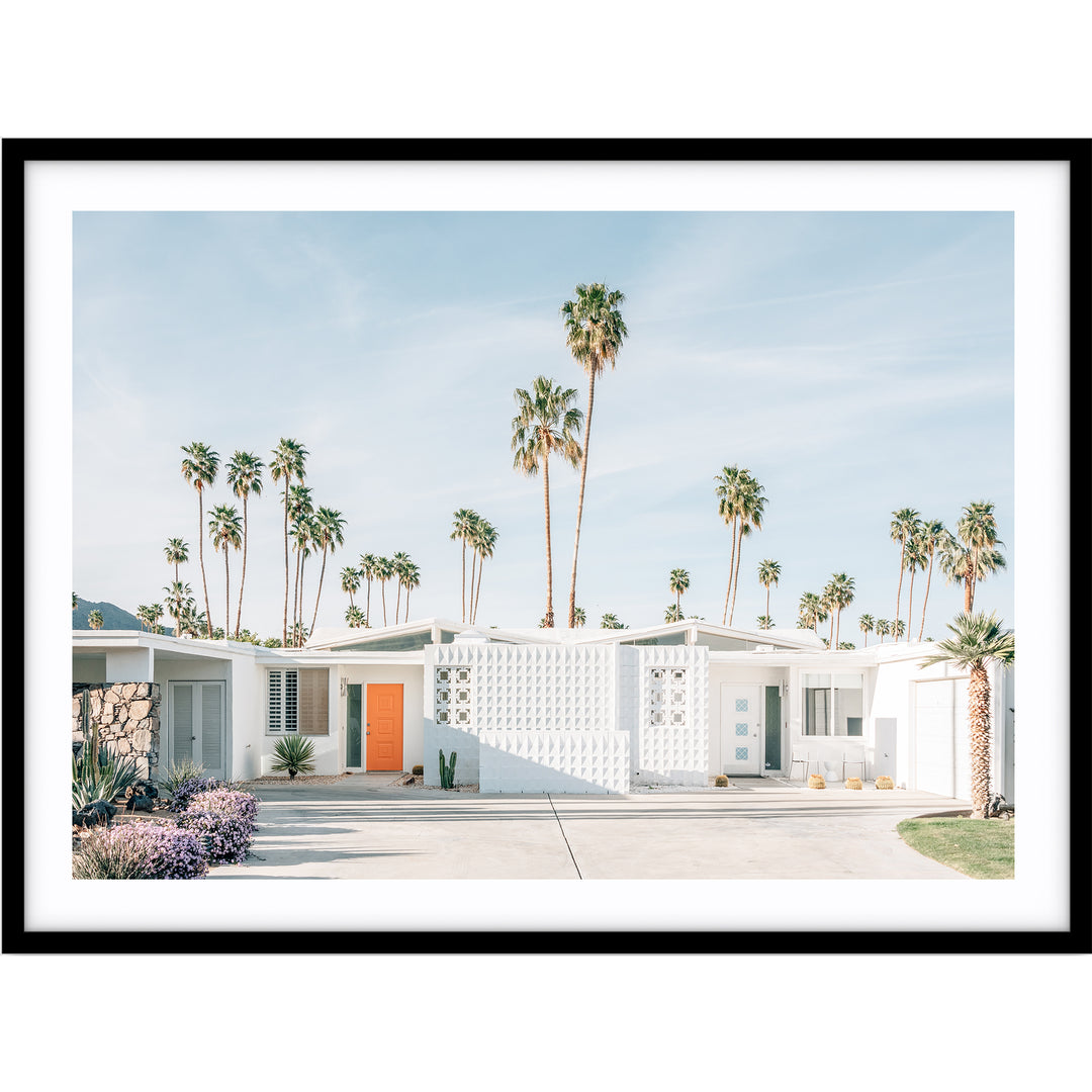 Palm Springs no.1