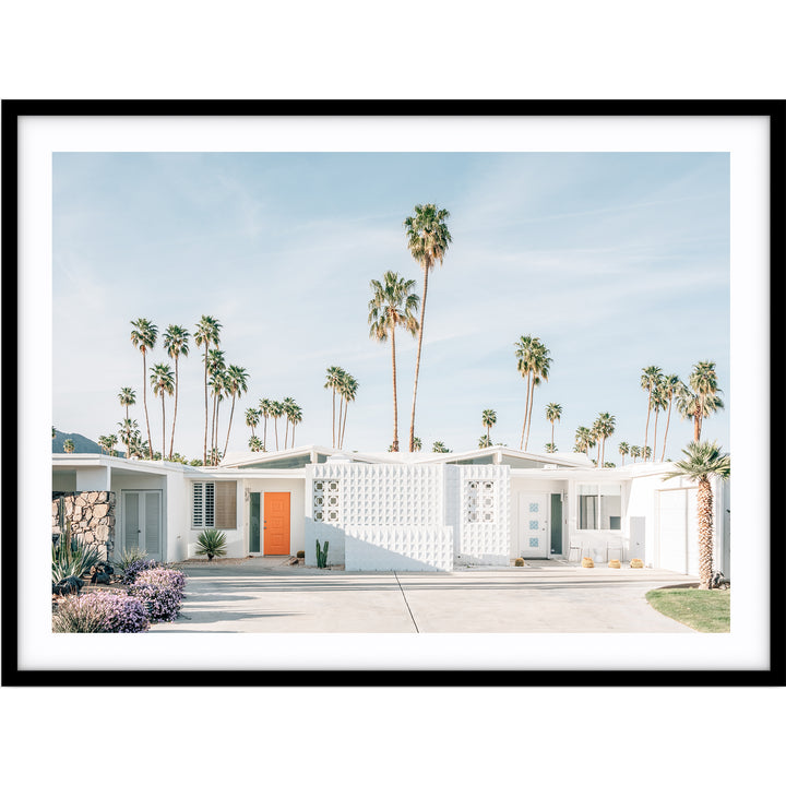 Palm Springs no.1
