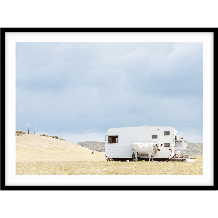Cow & Caravan - Country Victoria