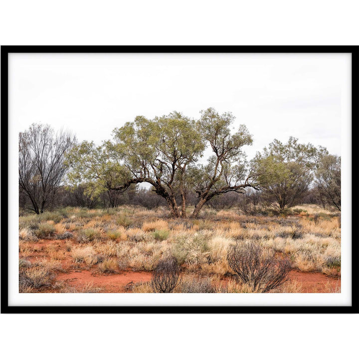 Red Dirt - Uluru III